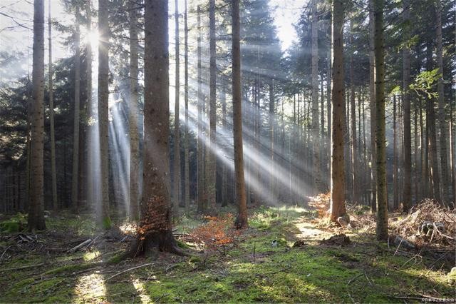 什么是負折射率？何為負折射率？