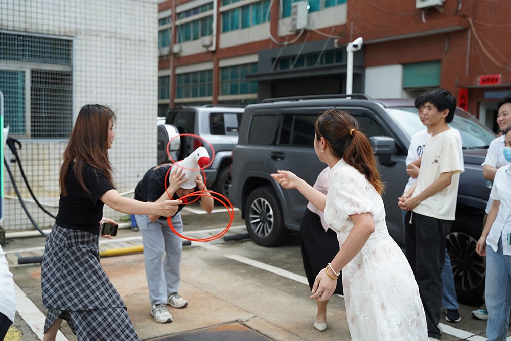 趣味活動(dòng)套大鵝2