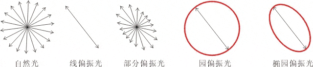 什么是偏振光？偏振光是如何完成檢測(cè)的？