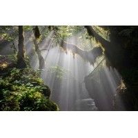 光的干涉、衍射、折射、反射、散射