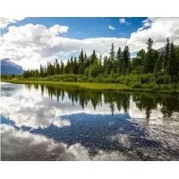 電磁波、紫外線和紅外線